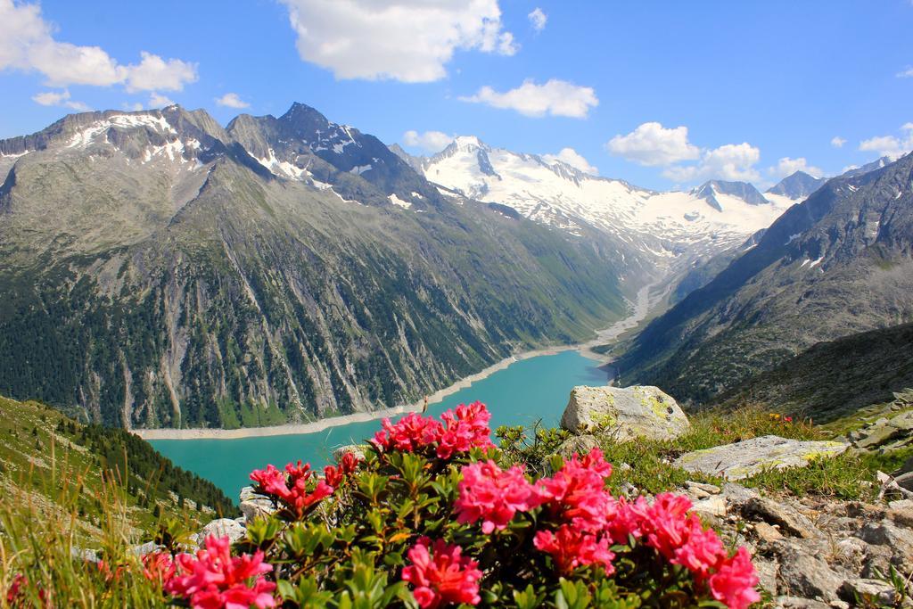 Alpen Appartements Hochmuth Mayrhofen Δωμάτιο φωτογραφία